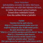 Devamını oku: Gece Yatarken